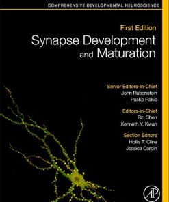 Synapse Development and Maturation: Comprehensive Developmental Neuroscience (PDF)