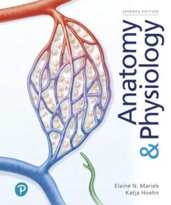 Anatomy & Physiology (Elaine Marieb) (7th Edition) (PDF)