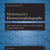 Niedermeyer’s Electroencephalography: Basic Principles, Clinical Applications, and Related Fields, 7th Edition (PDF)