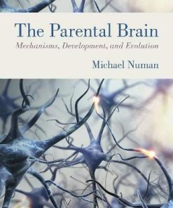 The Parental Brain: Mechanisms, Development, and Evolution (PDF)