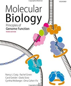 Molecular Biology: Principles of Genome Function, 3rd Edition (PDF)