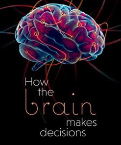 How the Brain Makes Decisions (PDF)