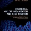 Epigenetics, Nuclear Organization & Gene Function: With implications of epigenetic regulation and genetic architecture for human development and health