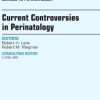 Current Controversies in Perinatology, An Issue of Clinics in Perinatology