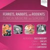 Ferrets, Rabbits, and Rodents: Clinical Medicine and Surgery, 4th Edition (PDF)