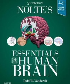 Nolte’s Essentials of the Human Brain, 2e (PDF)