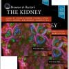 Brenner and Rector’s The Kidney, 2-Volume Set, 11th Edition (EPUB)