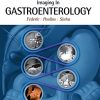 Imaging in Gastroenterology (EPUB)