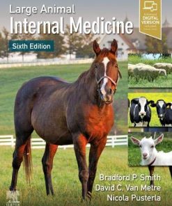 Large Animal Internal Medicine, 6th Edition (PDF)
