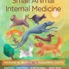 Small Animal Internal Medicine, 6th Edition (PDF)