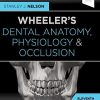 Wheeler’s Dental Anatomy, Physiology and Occlusion, 11th Edition (EPUB)