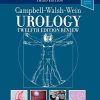 Campbell-Walsh Urology 12th Edition Review, 3rd Edition (PDF)