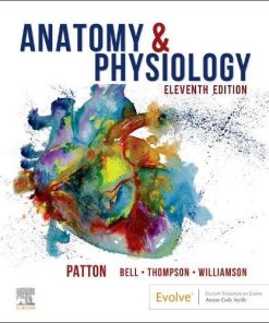 Anatomy & Physiology, 11th Edition (EPUB)