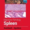 Diagnostic Pathology: Spleen, 2nd Edition (EPUB + Converted PDF)