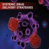 Systemic Drug Delivery Strategies : Volume 2 of Delivery Strategies and Engineering Technologies in Cancer Immunotherapy (PDF)