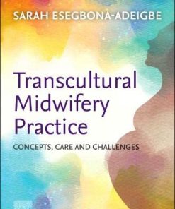 Transcultural Midwifery Practice: Concepts, Care and Challenges (EPUB)