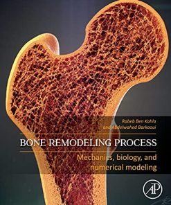 Bone Remodeling Process: Mechanics, Biology, and Numerical Modeling (PDF)