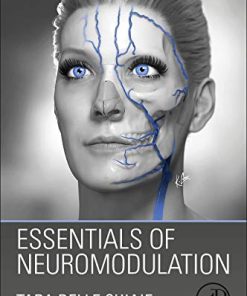 Essentials of Neuromodulation (PDF)