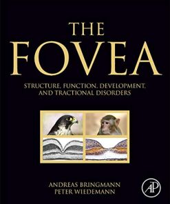 The Fovea: Structure, Function, Development, and Tractional Disorders (PDF)