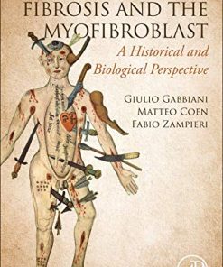 WOUND HEALING, FIBROSIS, AND THE MYOFIBROBLAST: A Historical and Biological Perspective (PDF)