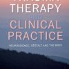 Trauma Therapy and Clinical Practice: Neuroscience, Gestalt and the Body