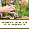 Handbook of Children in the Legal System (PDF)