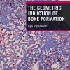 The Geometric Induction of Bone Formation (PDF) The Geometric Induction of Bone Formation (PDF)