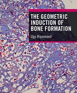 The Geometric Induction of Bone Formation (PDF)