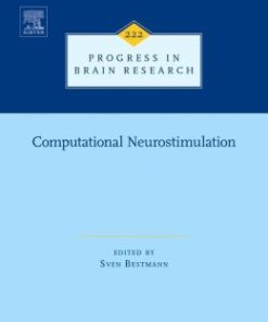 Computational Neurostimulation