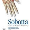 Sobotta Atlas of Human Anatomy, Vol.1, 15th Edition., English: General Anatomy and Musculoskeletal System (PDF)