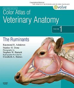 Color Atlas of Veterinary Anatomy, 2nd Edition, Volume 1, The Ruminants (PDF)