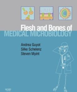 The Flesh and Bones of Medical Microbiology