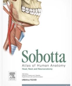 Sobotta Atlas of Human Anatomy, Vol. 3, 15th Edition, English/Latin: Head, Neck and Neuroanatomy (PDF)