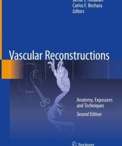 Vascular Reconstructions: Anatomy, Exposures and Techniques, 2nd Edition (PDF)