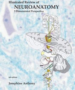 Illustrated Review of Neuroanatomy: 3 Dimensional Perspective (AZW3 + EPUB)