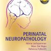 Perinatal Neuropathology (PDF)