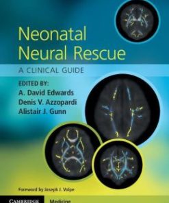 Neonatal Neural Rescue: A Clinical Guide