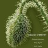 Organic Chemistry, 11th Edition (Solomons) (PDF)