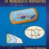 Optimization Methods in Metabolic Networks