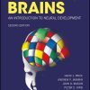 Building Brains: An Introduction to Neural Development (New York Academy of Sciences), 2nd Edition (EPUB)