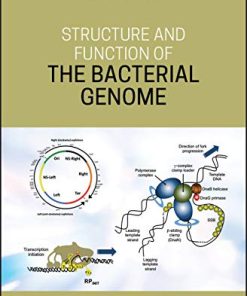 Structure and Function of the Bacterial Genome (PDF)