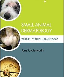 Small Animal Dermatology: What’s Your Diagnosis? (EPUB)