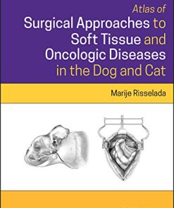 Atlas of Surgical Approaches to Soft Tissue and Oncologic Diseases in the Dog and Cat (PDF)