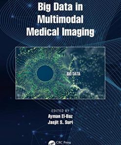 Big Data in Multimodal Medical Imaging (PDF)