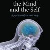 The Brain, the Mind and the Self: A psychoanalytic road map