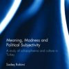 Meaning, Madness and Political Subjectivity: A study of schizophrenia and culture in Turkey