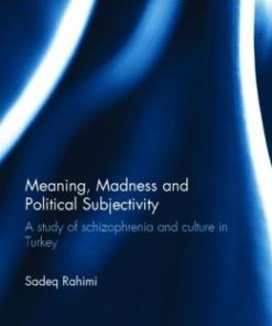 Meaning, Madness and Political Subjectivity: A study of schizophrenia and culture in Turkey