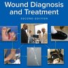 Text and Atlas of Wound Diagnosis and Treatment, Second Edition (PDF)