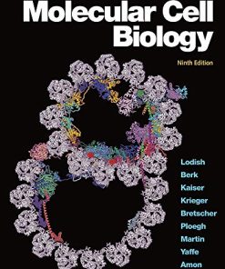 Molecular Cell Biology, 9th Edition (Epub + Converted PDF)