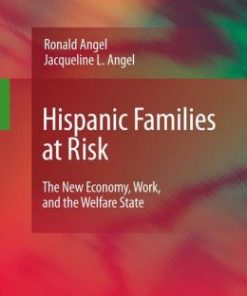 Hispanic Families at Risk: The New Economy, Work, and the Welfare State (EPUB)